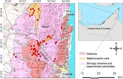 Delineation of Copper Mineralization Zones at Wadi Ham, Northern Oman Mountains, United Arab Emirates Using Multispectral Landsat 8 (OLI) Data